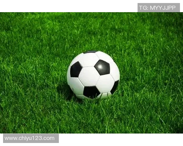 黑白光影中的足球传奇 揭示球场背后的无限魅力与精神追求 黑白光影中的足球传奇 揭示球场背后的无限魅力与精神追求