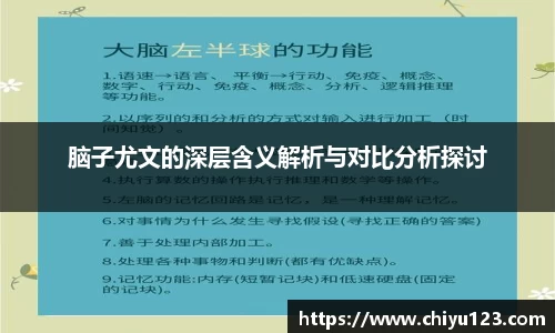 脑子尤文的深层含义解析与对比分析探讨